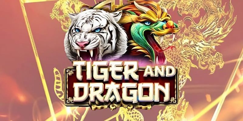 Giới thiệu đôi nét về game Rồng Hổ