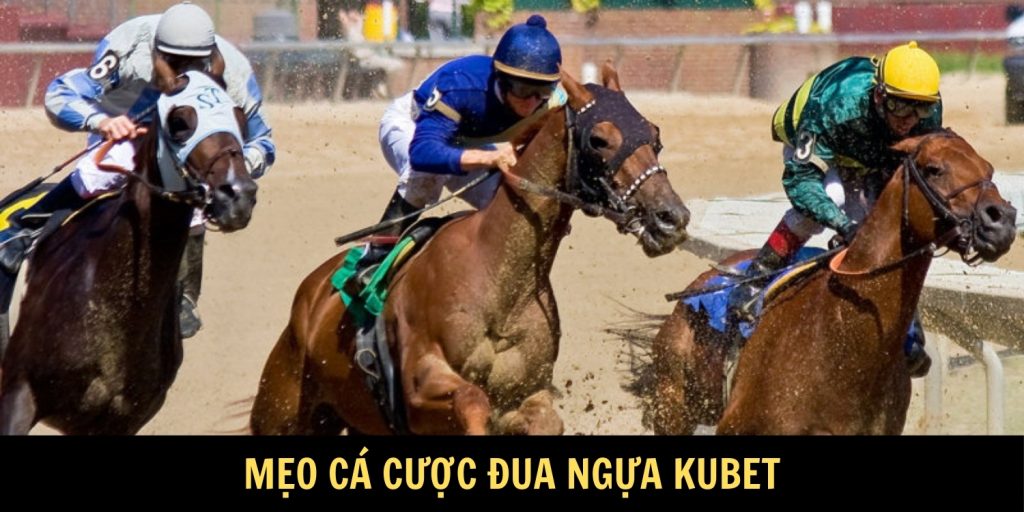 mẹo cá cược đua ngựa