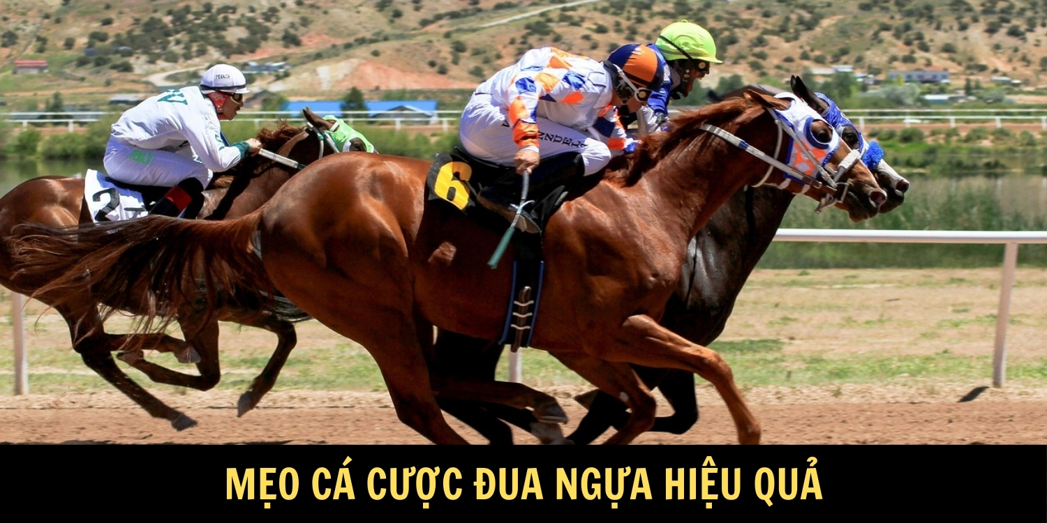 Mẹo cá cược đua ngựa - Kèo Trio