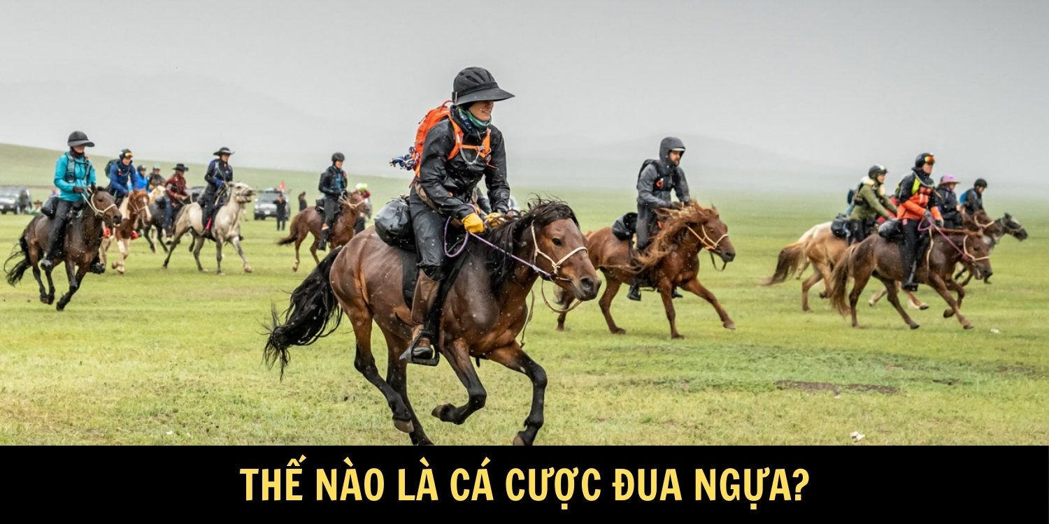 Thế nào là cược đua ngựa?